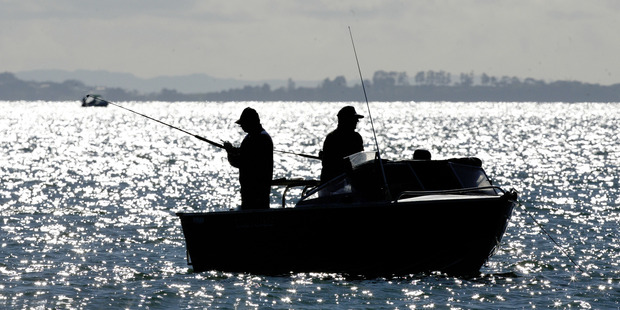 Political opponents and the fishing industry cast doubts over the Government's plan to limit commercial fishing in the Hauraki Gulf. Photo / Brett Phibbs
