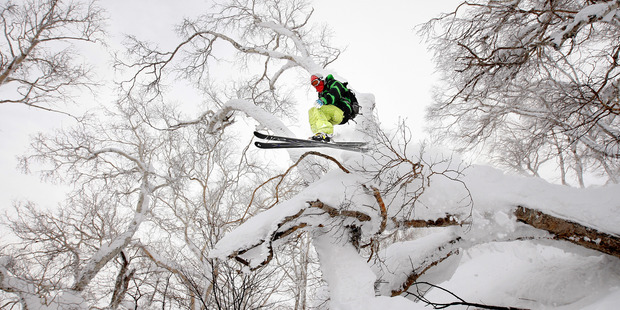 Freeskiing in the Hanazono area of Niseko Grand Hirafu resort. Photo / Sarah Ivey