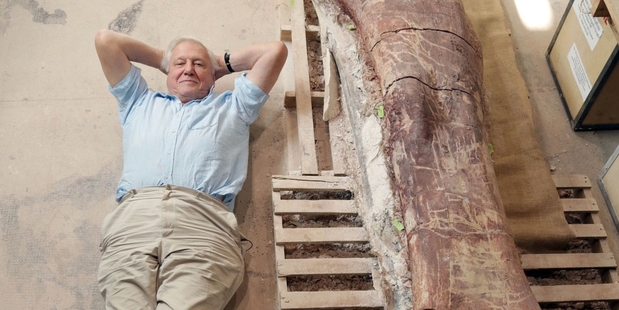 Sir David Attenborough's BBC show will feature a 37m model of the 70-tonne titanosaur. Photo / BBC