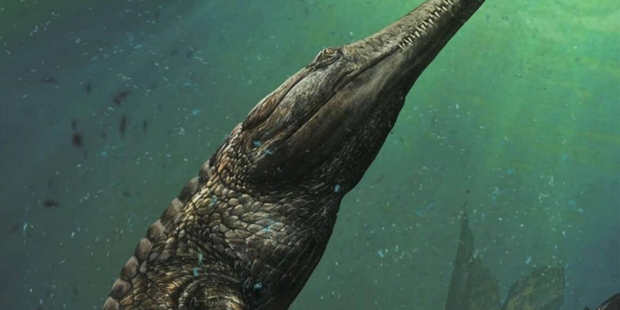 The giant crocodile became extinct 130 million years ago. Photo / Davide Bonadonna