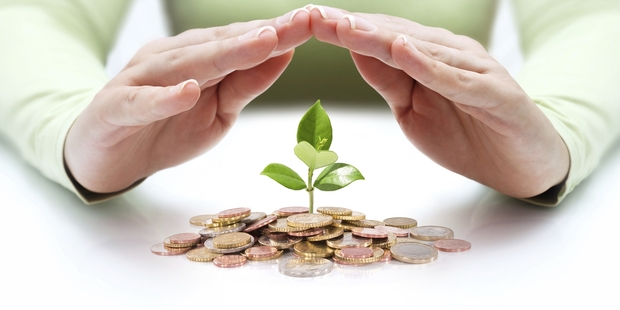Your KiwiSaver account needs to be nurtured. It's important to check that your savings are on track. Photo / Getty Images