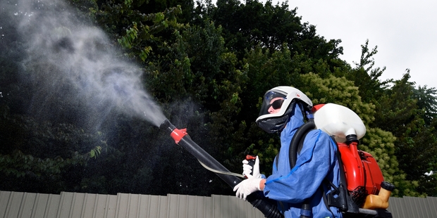 Connor Smart, Bugs or Us exterminator. Photo / George Novak