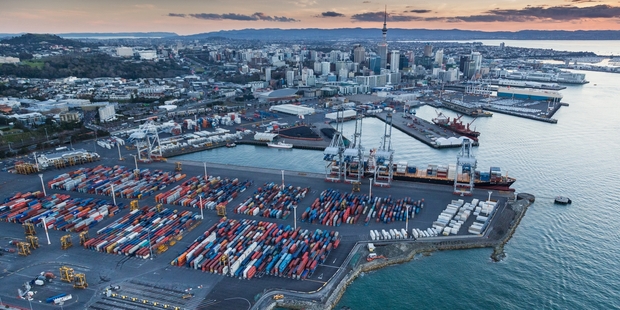 Technology and productivity gains should mean the port can grow business without physically expanding. Photo / Supplied