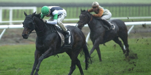 Summer's Day wins the Tauranga Classic last month. Picture / Trish Dunell