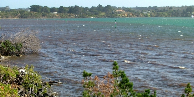 BAD SIGN: Houhora Harbour is increasingly being polluted by silt after heavy rain, as happened again earlier this month, according to a local resident. PICTURE/LOIS WAGENER