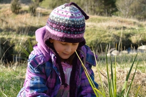 Planting to protect the environment at the source of the Manawatu River in Norsewood was one of the first projects carried out under the Fresh Start for Freshwater Clean-Up Fund. Photo / Christine McKay