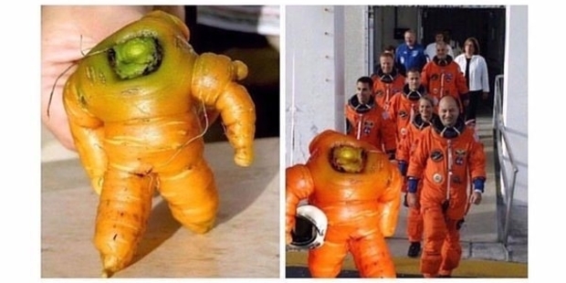 One small step for carrots, one huge leap for vegetables.