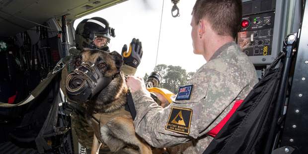 Leading Aircraftman Thomas Olsen and Koda prepare to disembark during helicopter familiarisation training at RNZAF Base Auckland.
