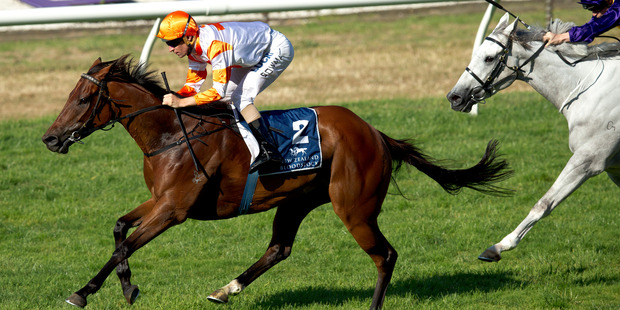 Candle In The Wind goes to 60kg topweight in race 6 today. Picture / Dean Purcell