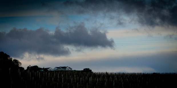 Brace yourselves - it's going to be a wild and windy week New Zealand. Hawke's Bay Today photograph by Warren Buckland.