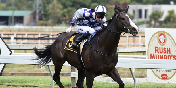 Iwannadancelikehim is set to raise the bar. Picture / Race Images