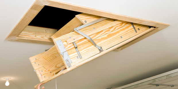 Davis Wahlman was shocked when he climbed the stairs into his attic. Photo / iStock