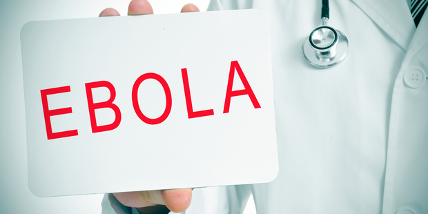 A new study, co-authored by Massey University's Dr David Hayman, has identified many new regions in the world where the viruses could surface. Photo / iStock