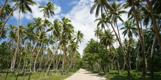 Exploring Vanuatu's back roads and beaches by buggy is a great way to see the sights - but not if you're a timid driver. Photo / Getty Images
