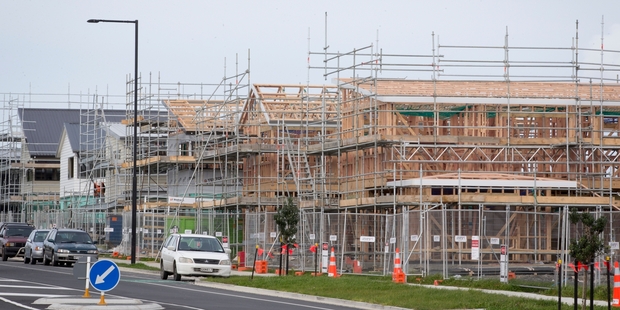 Auckland needs at least 13,000 new houses a year - for 30 years - to keep up with demand. Photo / Greg Bowker