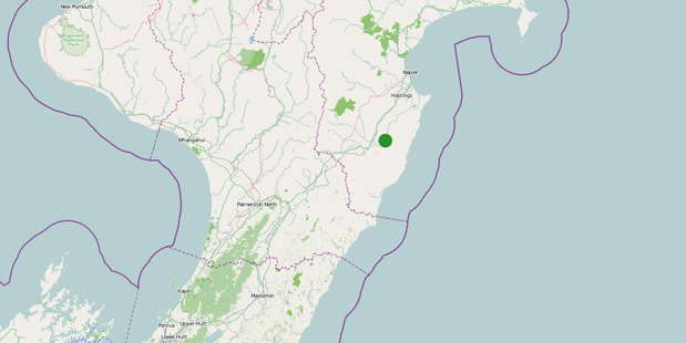 The moderate intensity earthquake was 31km deep and 15km east of Waipukurau. Photo / GeoNet