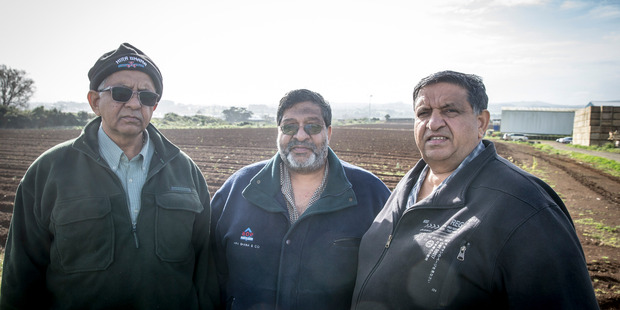 (From left) Dinesh, Bharat and Amrut Bhana face an uncertain future amid urbanisation. Photo / Michael Craig