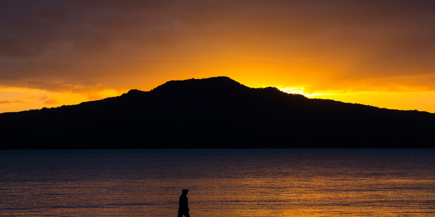 Getting rid of pests from Rangitoto cost about $3.5 million.