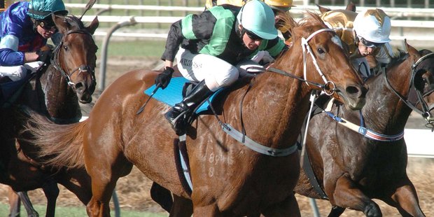 Ivy Gold is a progressive type and her lead-up form has been impressive.