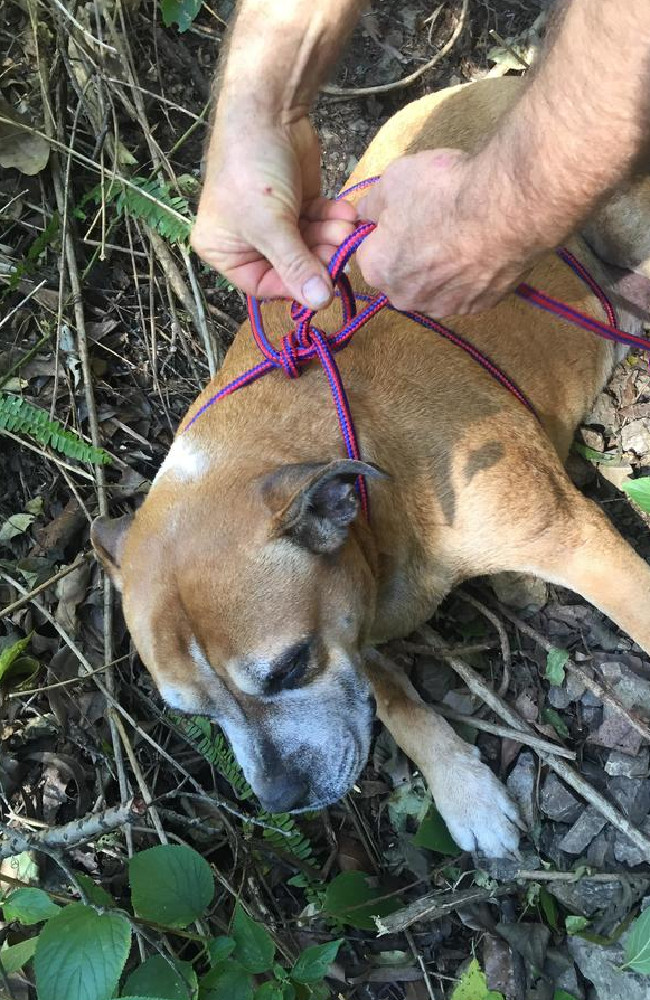The rescuers luckily had rope with them to fashion a harness.