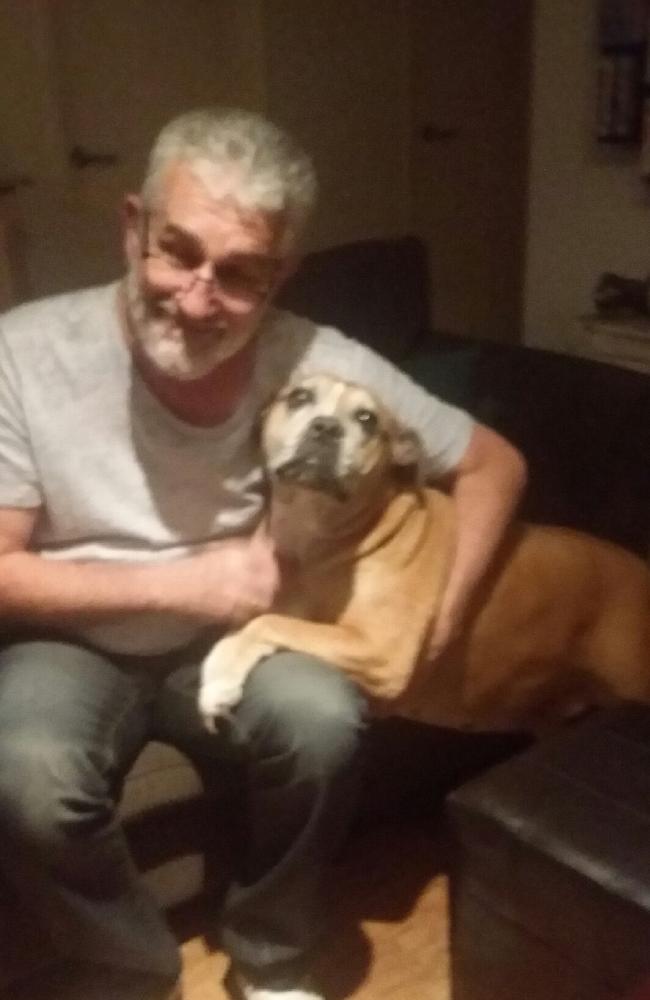 Elly-Bobby reunited with her owner.