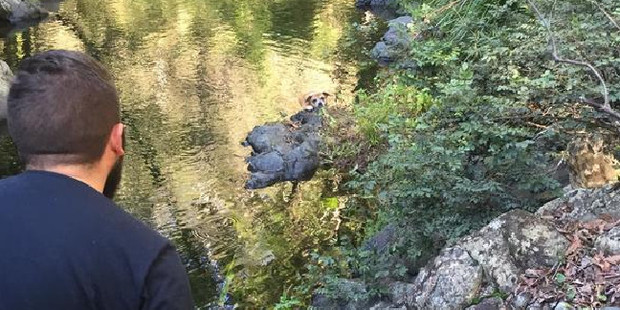The sorry sight that greeted the hikers in a remote part of Queensland's Mt Glorious National Park.