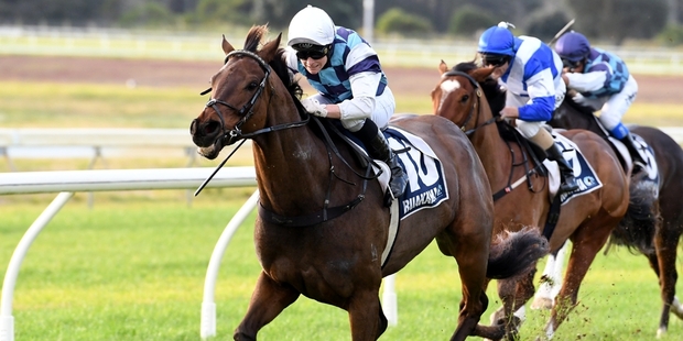 All Roads rounds off another superb day for the Logan stable on Saturday. Photo / Race Images