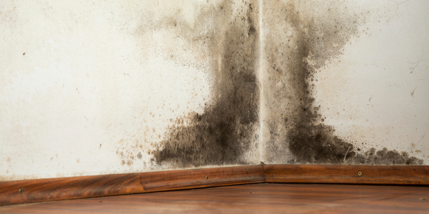 Issues raised by disgruntled landlords and tenants to the Tenancy Tribunal included unpaid rent, and having to replace walls and rotten floors. Photo / iStock
