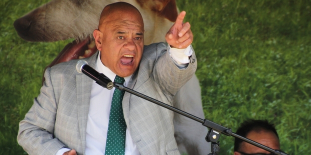 Te Waihoroi Shortland, of Ngati Hine, is the Te Tai Tokerau representative on Te Matawai.