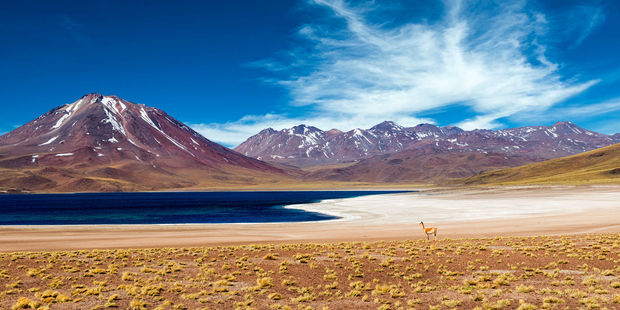 Seeing prehistoric rock carvings in Chile's Atacama Desert might interest tweens but if you're travelling with babies or toddlers, a beach holiday might be a better bet. Photo / 123RF