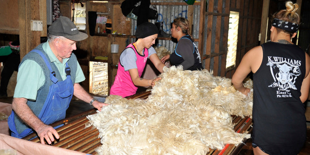The couple's shearing gang range in age from 17 years to 60-ish. Photo / Liam Clayton