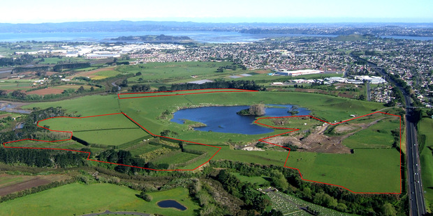 The privately-owned Crater Hill, on the edge of Manukau Harbour in Papatoetoe, has been partly rezoned for up to 575 houses. Photo / Bruce Hayward