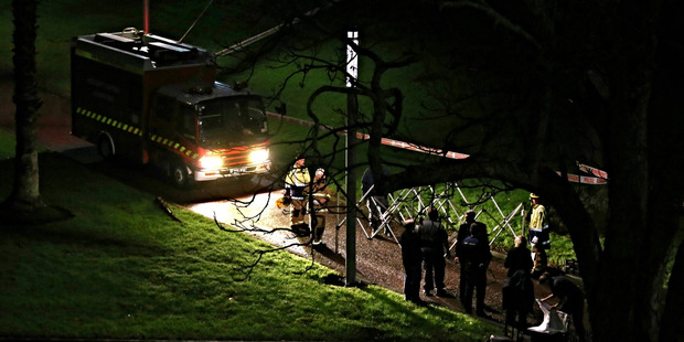 Emergency services in Myers Park on the hours after David Cerven's death in August last year. Photo / Jason Oxenham.