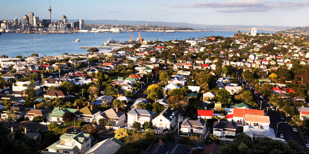 A new lobby group has been formed to support the Unitary Plan. Photo/Doug Sherring.