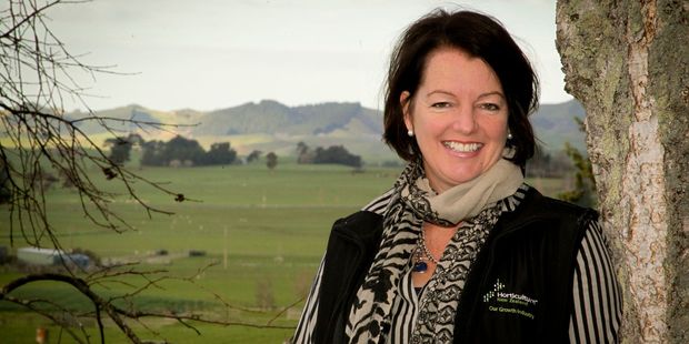 Incumbent regional councillor for Central Hawke's Bay Debbie Hewitt will seek re-election in October.