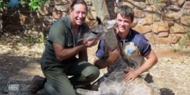 Craig Busch and the giraffe calf he 'captured'. A witness said Busch nearly killed the calf just to get his shots.
