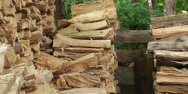 Some internet users have vented their frustration at being unable to spot this feline mater of disguise. Photo / Reddit