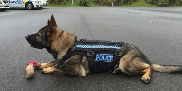 Dakota wears her new stab-proof vest. Photo / via Police