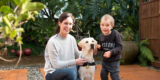 Isaac Gray with his mum Shelley and his soon to be assistance dog, Lady the silver lab. Photo/Ruth Keber