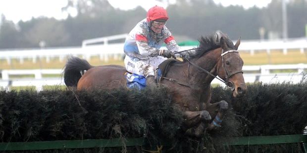 Australian jockey Paul Hamblin and Upper Cut at Riccarton yesterday. Photo / Race Images Chch