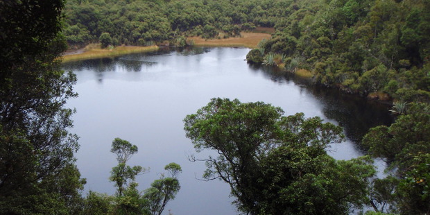 Bush-clad Lake Wilkie is worth a visit. Photo / Creative Commons image by Flickr user ActiveSteve