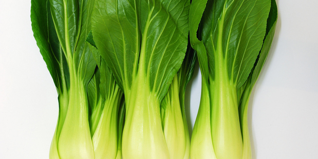 Baby bok choi: ideal for raised beds but don't plant in high summer.