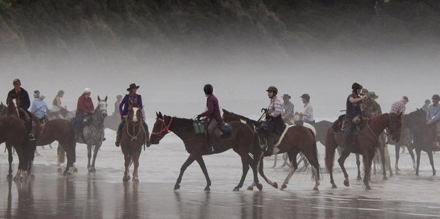 Riders in the annual Catlins Canter make their way across Jacks Bay. Photo / Otago Daily Times