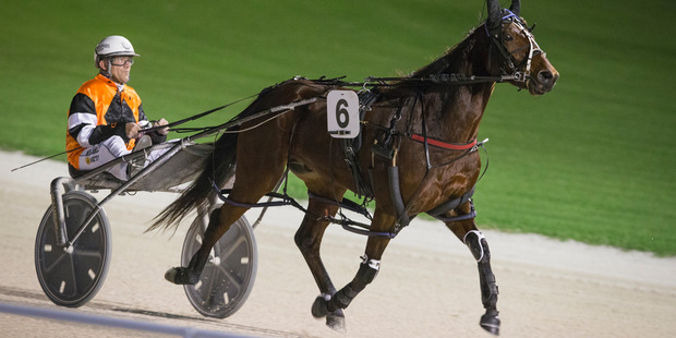 Tony Herlihy admits his rivals may hold the fate of One Over Da Moon in their hooves. Photo / Greg Bowker