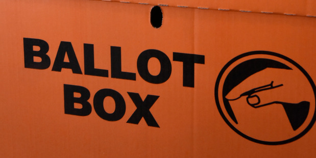 Sadly, the way of elections tends to be how well recognised the name of the person is or how high in the alphabet their name is on the voting form. Photo / George Novak