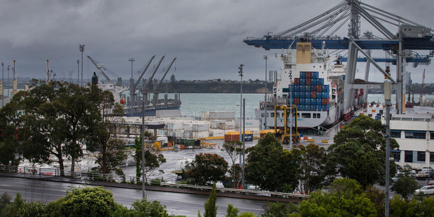 The automation project will take about three years to complete and result in about 50 stevedoring jobs being removed. Photo / Nick Reed