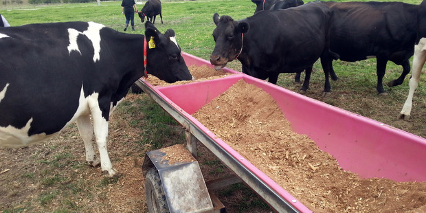 Fonterra has moved to discourage its farmers from using palm kernel expeller (PKE). Landcorp is now also moving away from using the feed supplement.