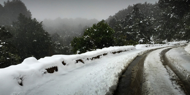 Snow on the Maungaharuru Range in Hawke's Bay on Saturday. Photo / Warren Buckland