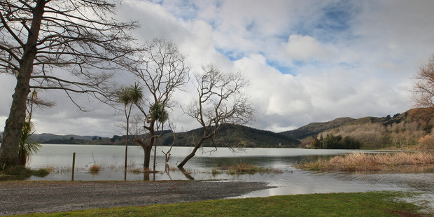Flooded Lake Tutira laps onto the shore earlier this week. Photo / Warren Buckland