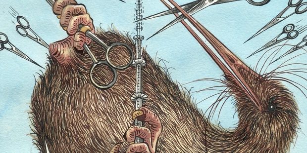 Economic growth - north of 3 per cent this year and next year, the bank reckons - is strong by the standards of developed countries these days. Illustration / Anna Crichton (illustrator@annacrichton.com)